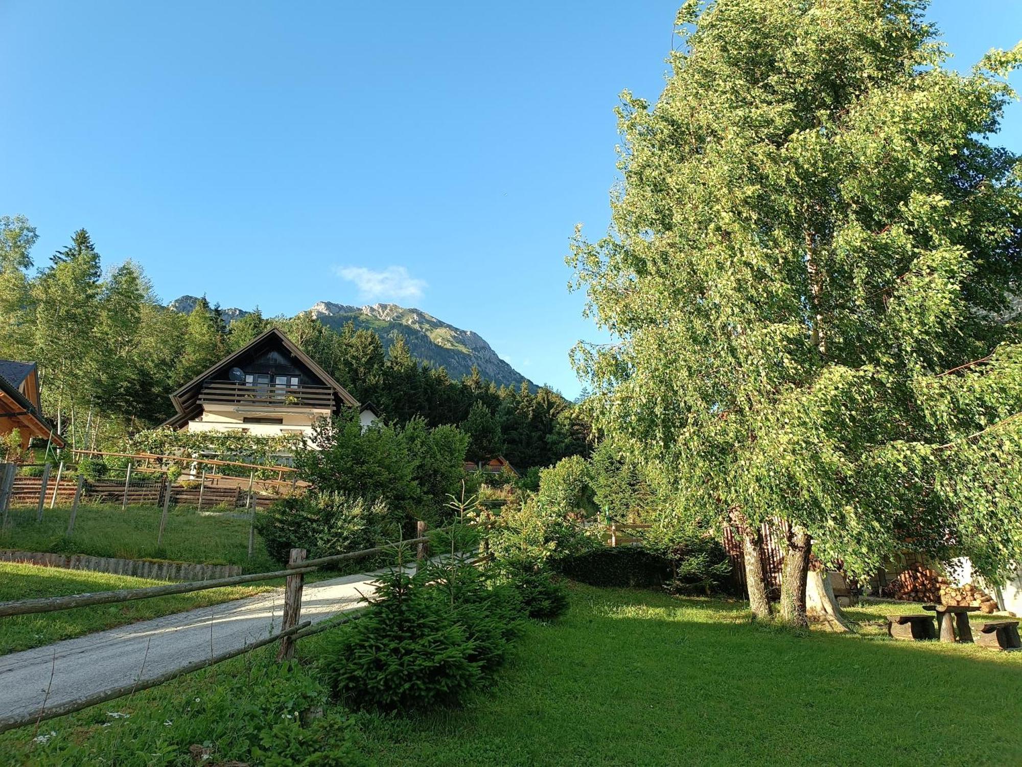 Kralj Matjaz - The Green Escape Under Alps Golnik Екстериор снимка