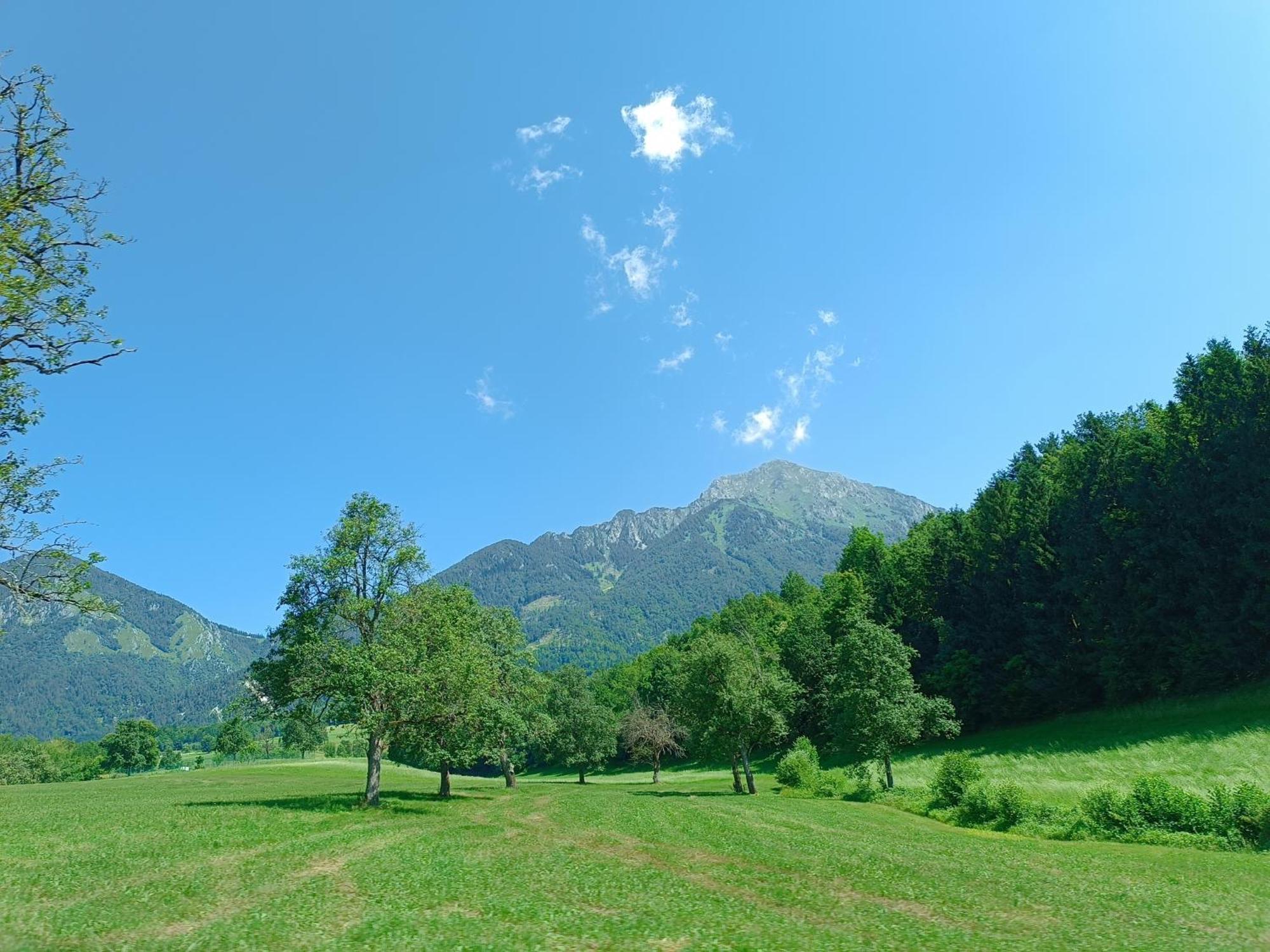 Kralj Matjaz - The Green Escape Under Alps Golnik Екстериор снимка